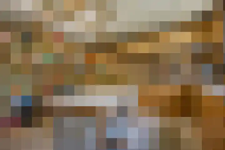Rielsedijk 28 Geldrop thumbnail 49