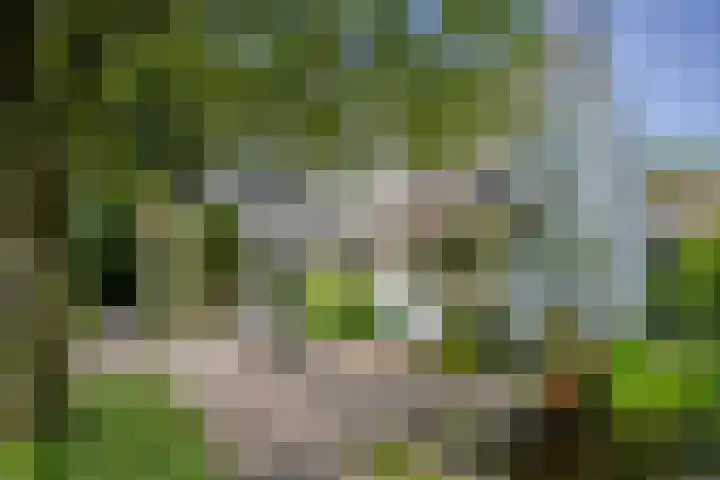 Rielsedijk 28 Geldrop thumbnail 5