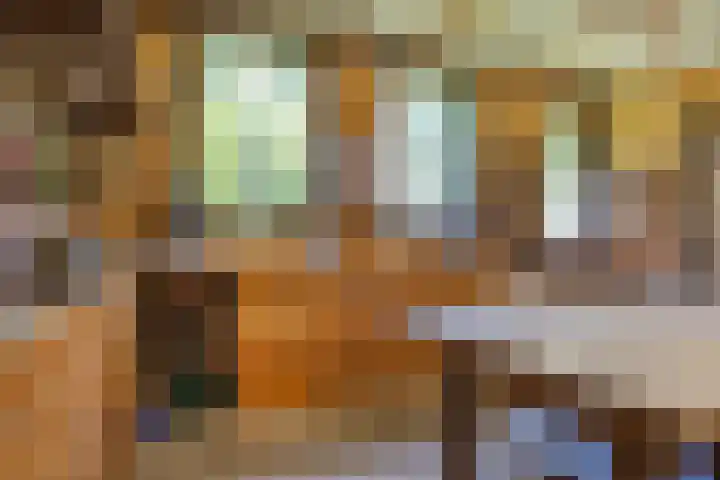 Rielsedijk 28 Geldrop thumbnail 50