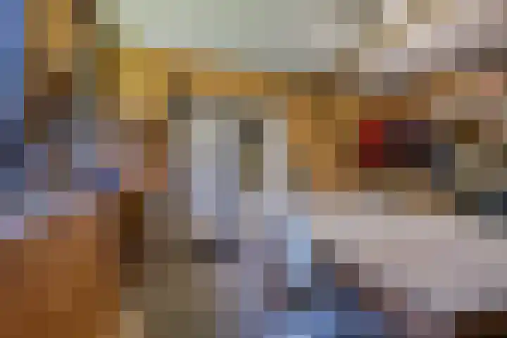 Rielsedijk 28 Geldrop thumbnail 51