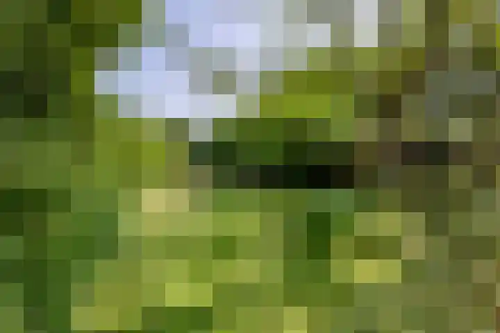 Rielsedijk 28 Geldrop thumbnail 53