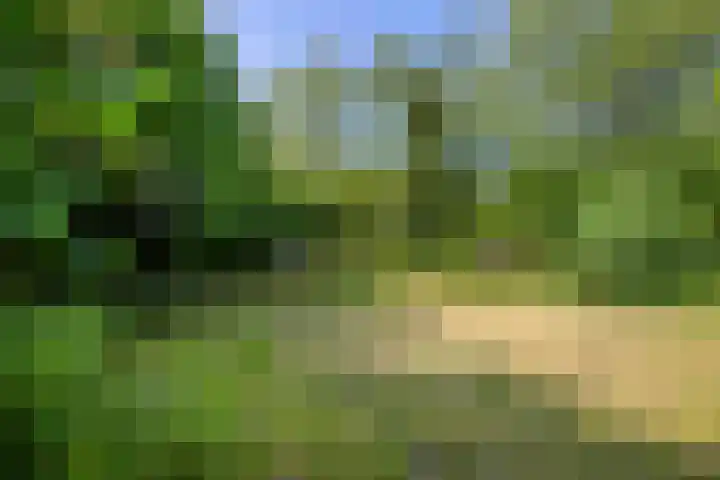 Rielsedijk 28 Geldrop thumbnail 54