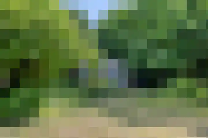 Rielsedijk 28 Geldrop thumbnail 55