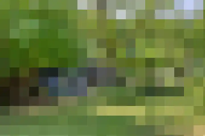 Rielsedijk 28 Geldrop thumbnail 56