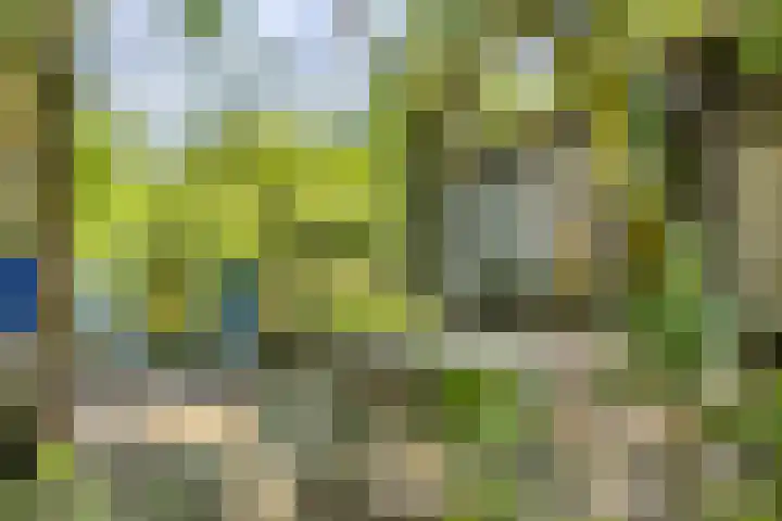 Rielsedijk 28 Geldrop thumbnail 58