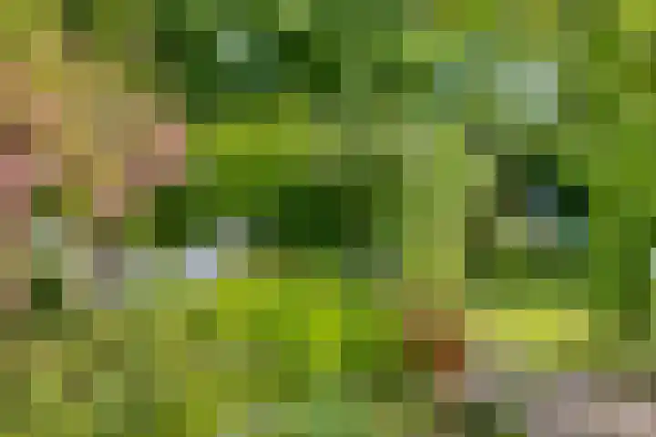 Rielsedijk 28 Geldrop thumbnail 59