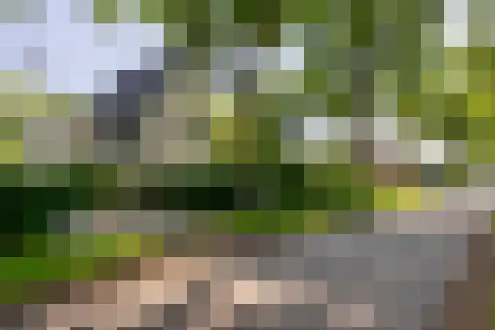 Rielsedijk 28 Geldrop thumbnail 6
