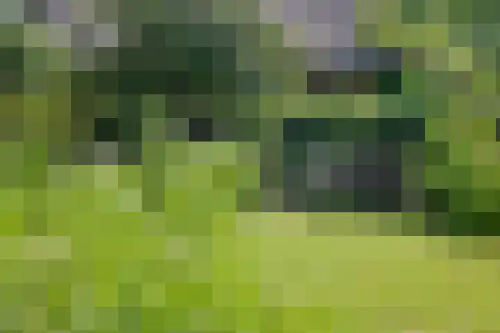 Rielsedijk 28 Geldrop thumbnail 61
