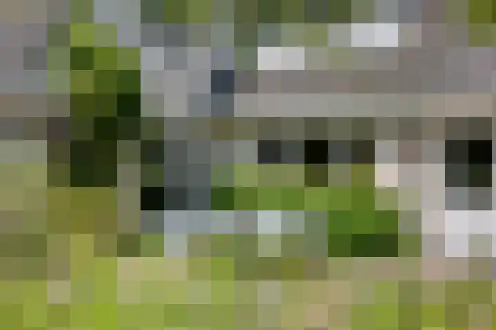 Rielsedijk 28 Geldrop thumbnail 62
