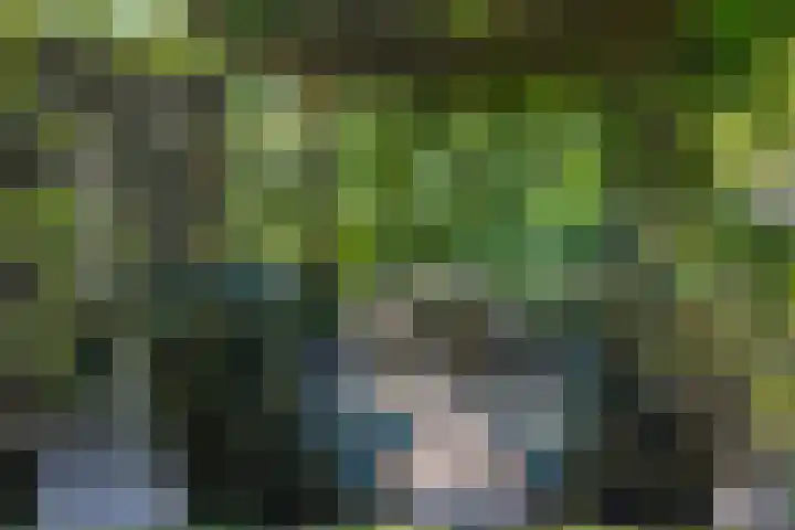 Rielsedijk 28 Geldrop thumbnail 63