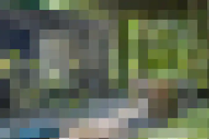 Rielsedijk 28 Geldrop thumbnail 64