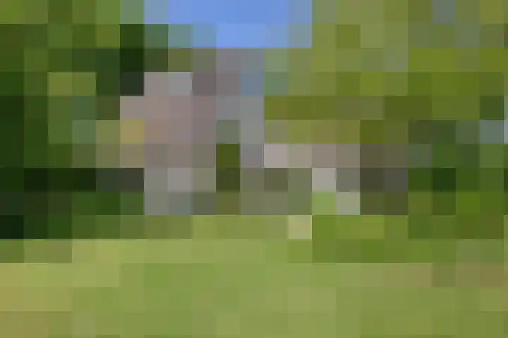 Rielsedijk 28 Geldrop thumbnail 65