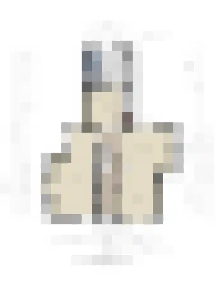 Rielsedijk 28 Geldrop thumbnail 67