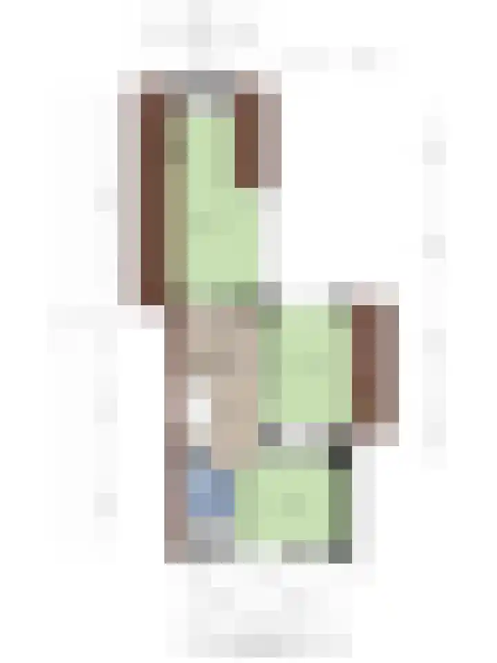 Rielsedijk 28 Geldrop thumbnail 69