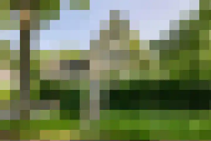 Rielsedijk 28 Geldrop thumbnail 7
