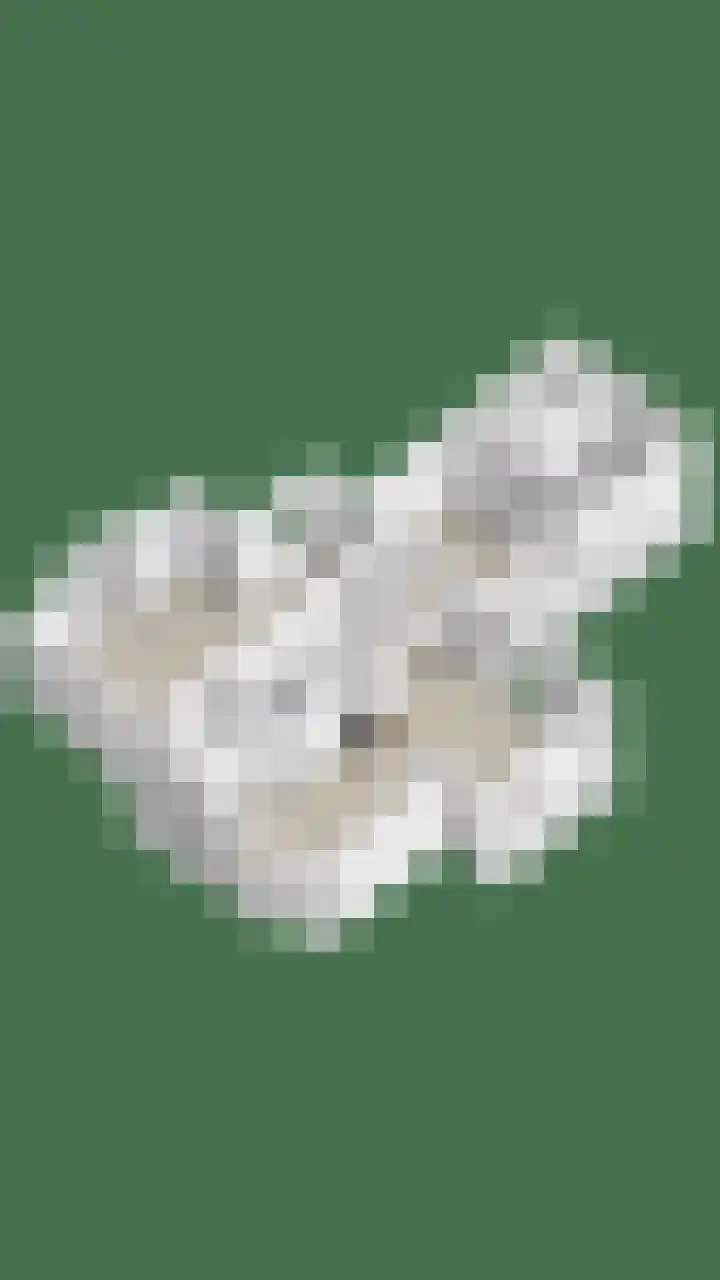 Rielsedijk 28 Geldrop thumbnail 72
