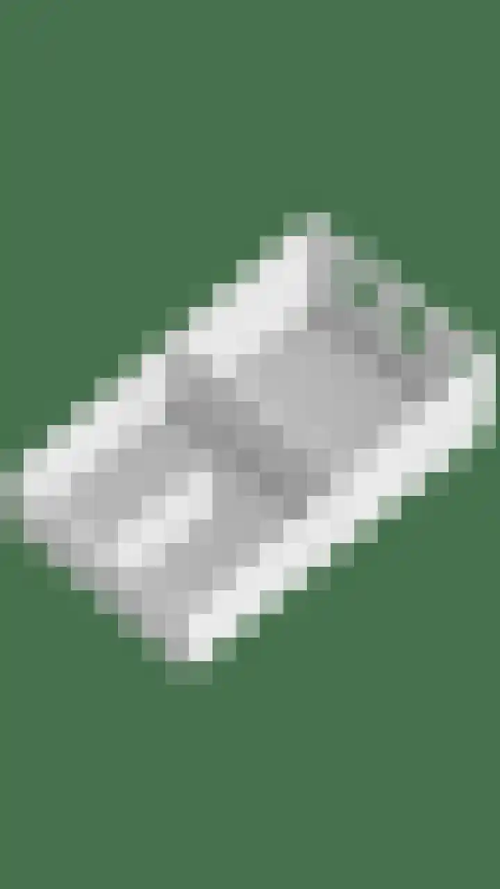 Rielsedijk 28 Geldrop thumbnail 73