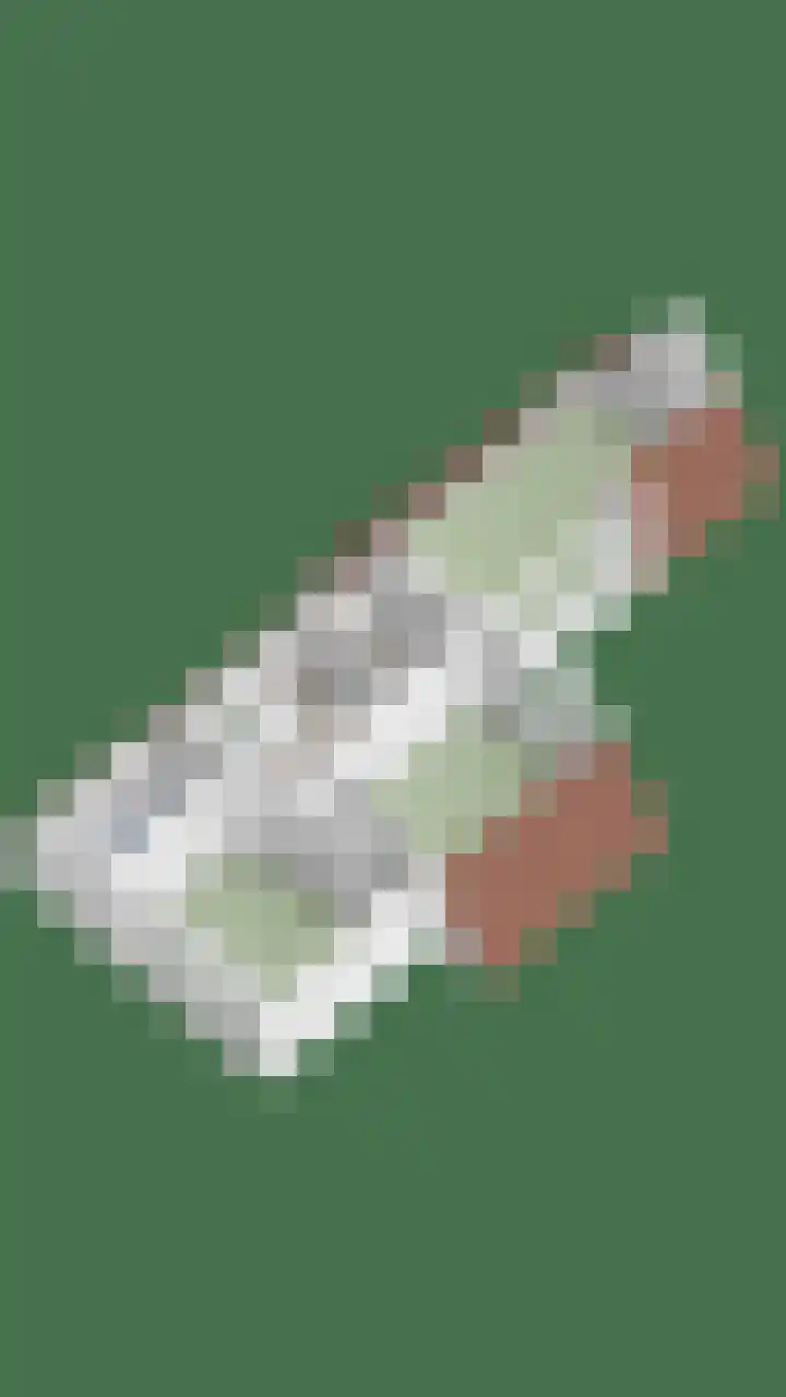Rielsedijk 28 Geldrop thumbnail 75