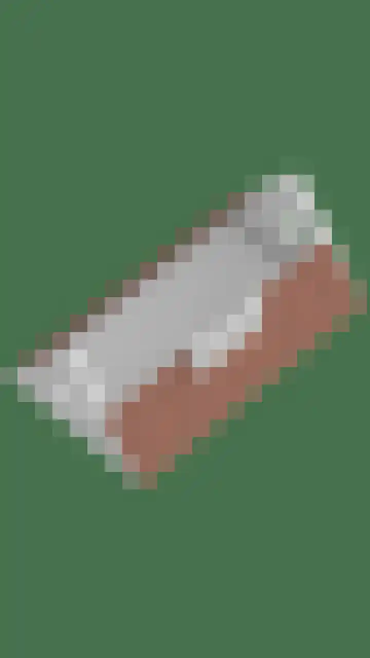 Rielsedijk 28 Geldrop thumbnail 76