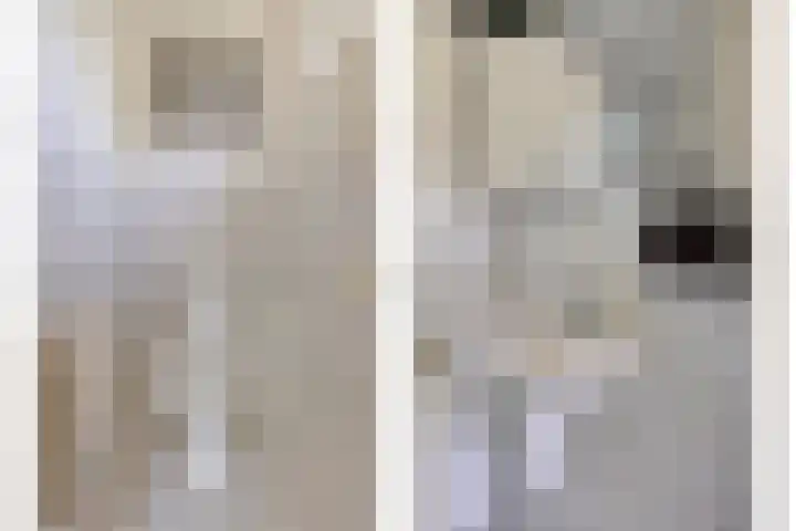 Rielsedijk 28 Geldrop thumbnail 9
