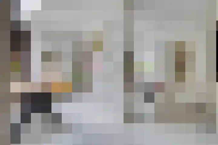 Rielsedijk 55 Eindhoven thumbnail 13