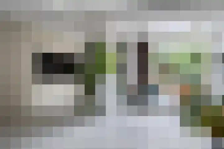Rielsedijk 55 Eindhoven thumbnail 15