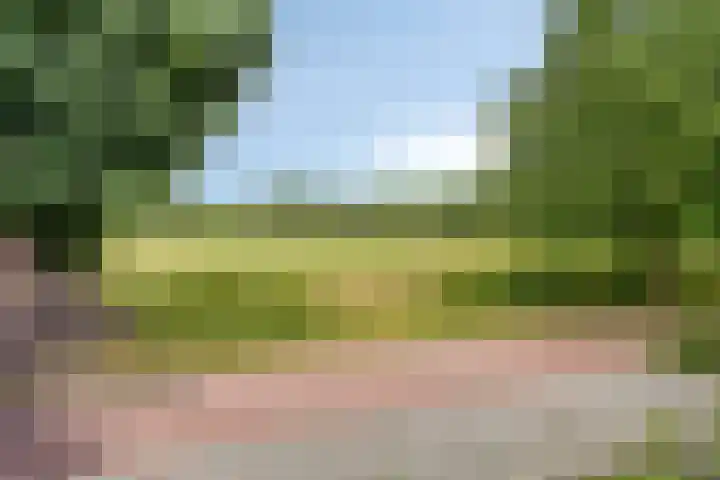 Rielsedijk 55 Eindhoven thumbnail 28