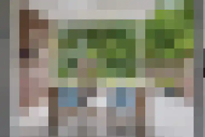 Rielsedijk 55 Eindhoven thumbnail 34