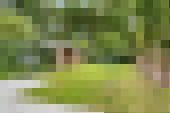 Rielsedijk 55 Eindhoven thumbnail 37