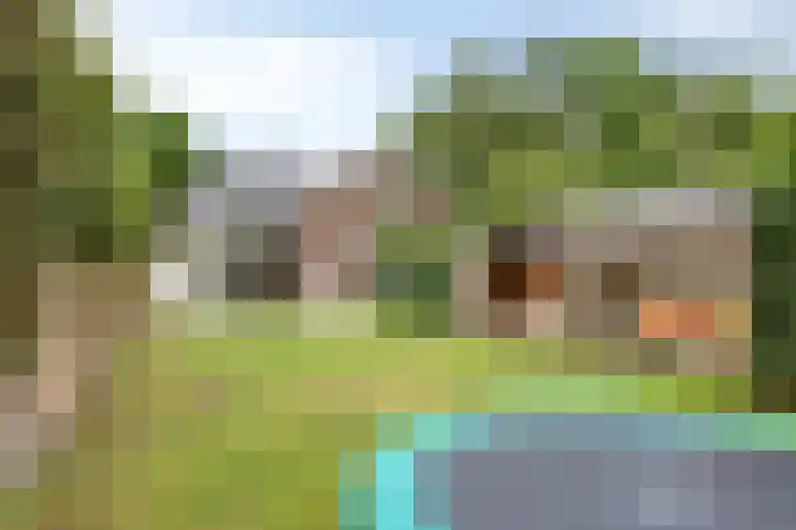 Rielsedijk 55 Eindhoven thumbnail 39