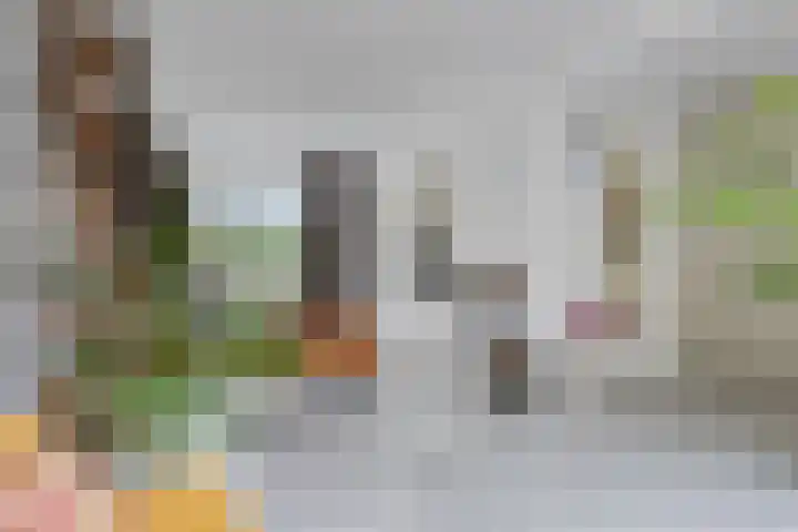 Rielsedijk 55 Eindhoven thumbnail 8
