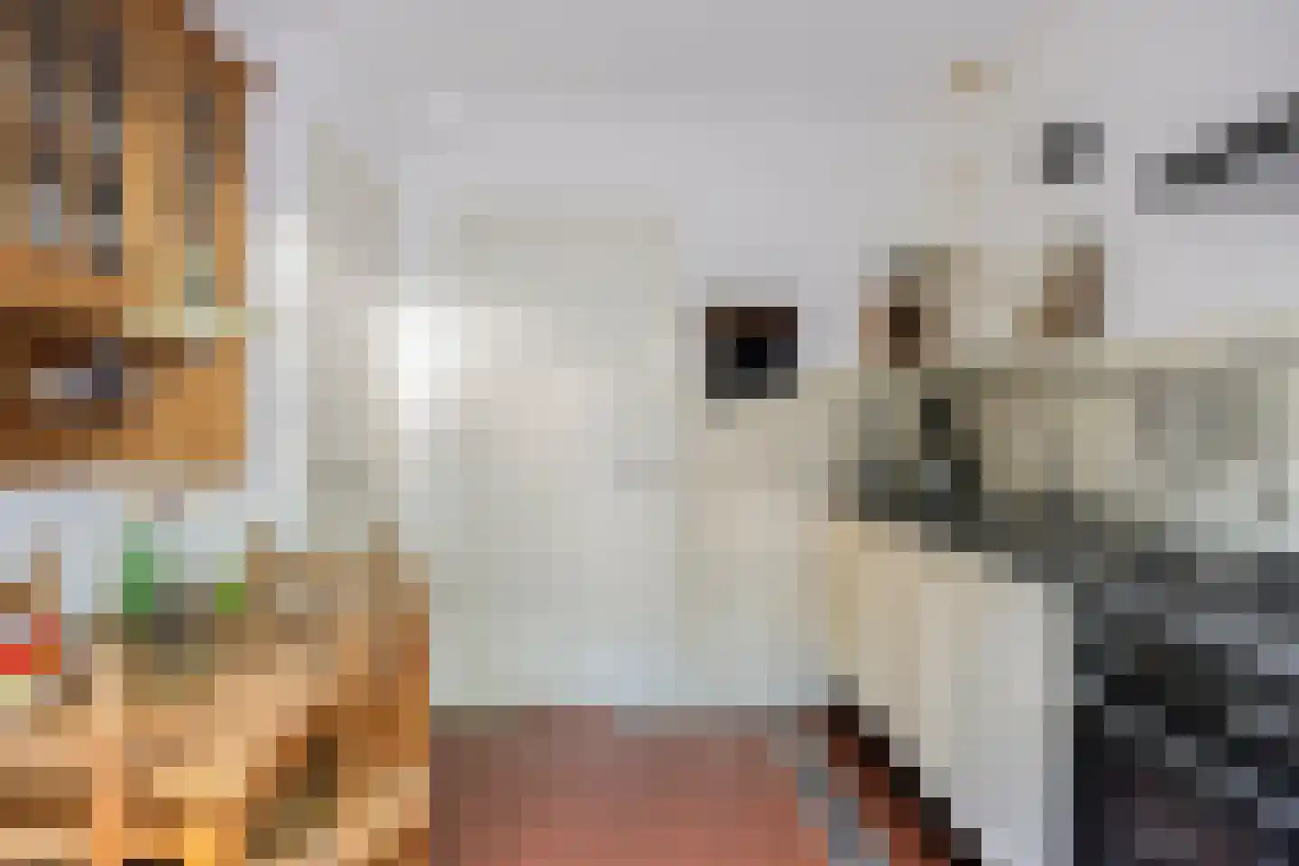 Rielseweg 14 Eindhoven thumbnail 15