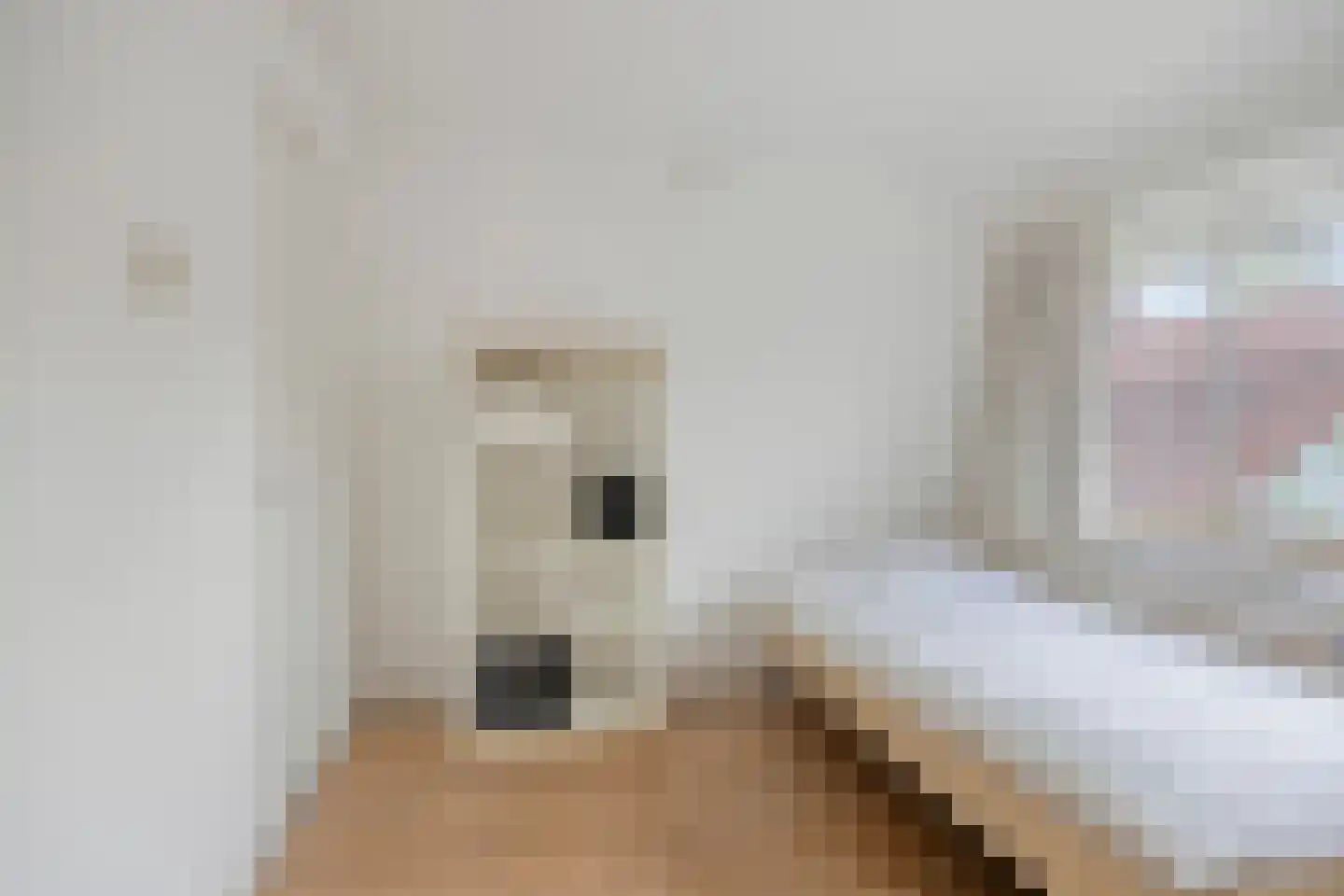 Rielseweg 14 Eindhoven thumbnail 17