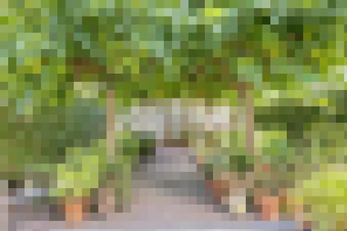 Rielseweg 14 Eindhoven thumbnail 29