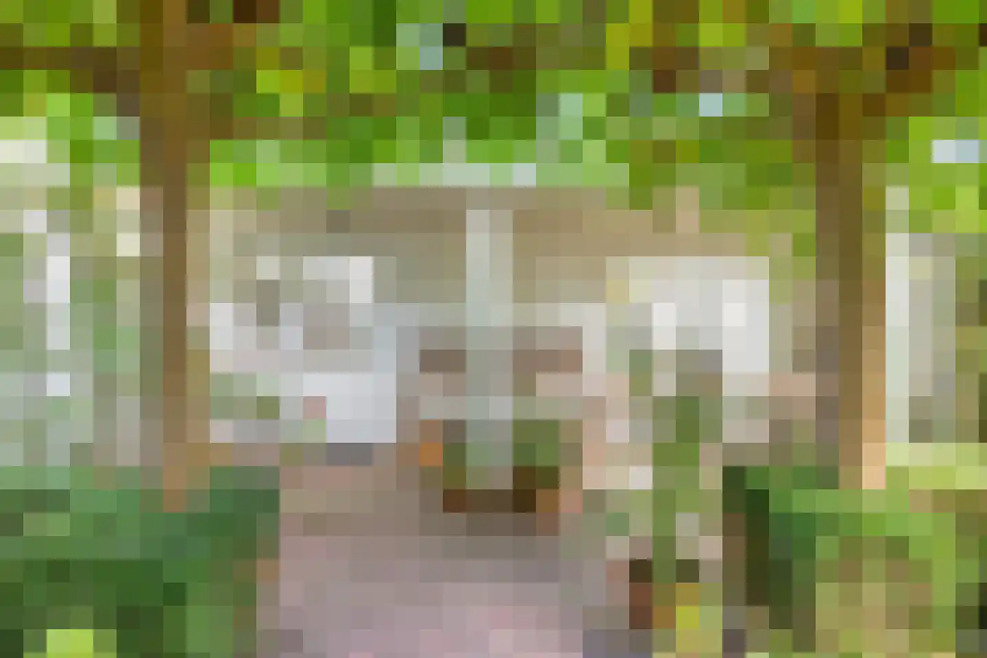Rielseweg 14 Eindhoven thumbnail 31