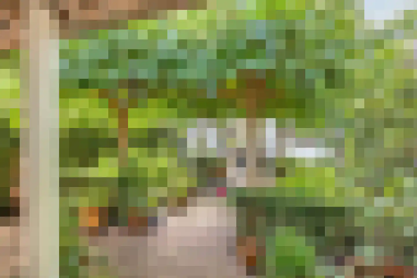 Rielseweg 14 Eindhoven thumbnail 32