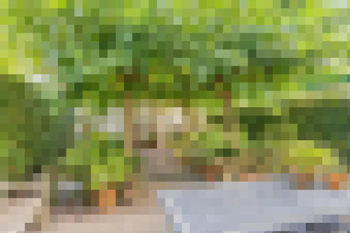 Rielseweg 14 Eindhoven thumbnail 4