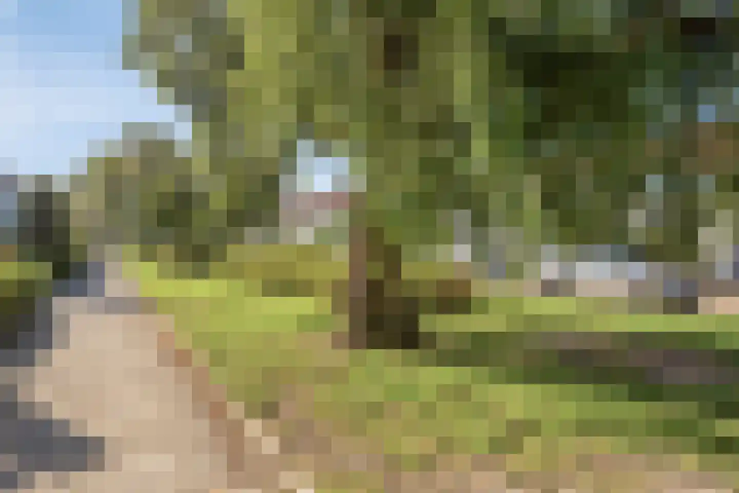 Rielseweg 14 Eindhoven thumbnail 47