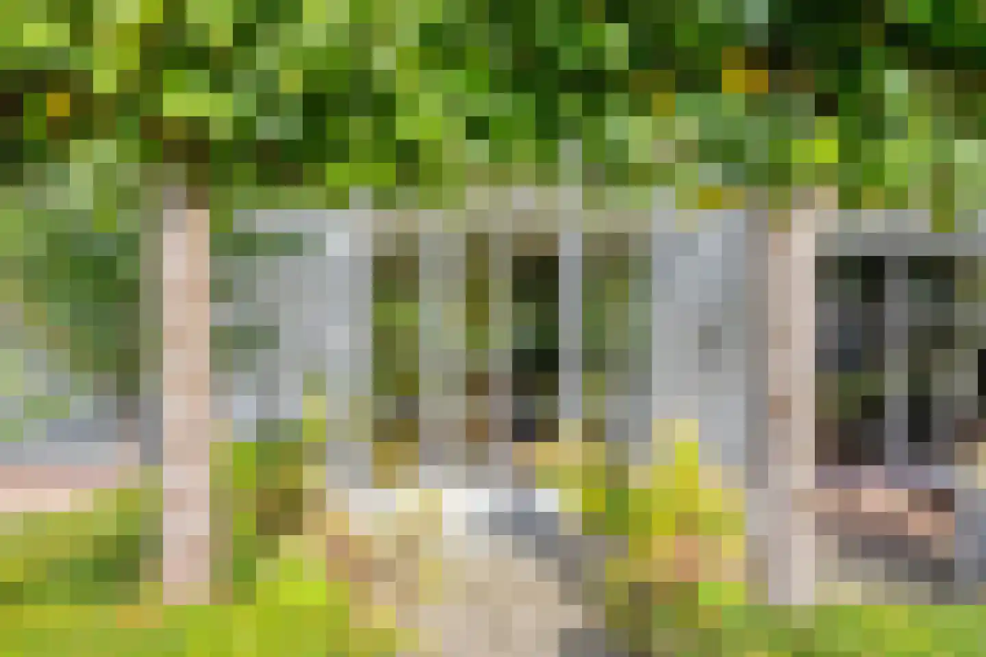 Rielseweg 14 Eindhoven thumbnail 5