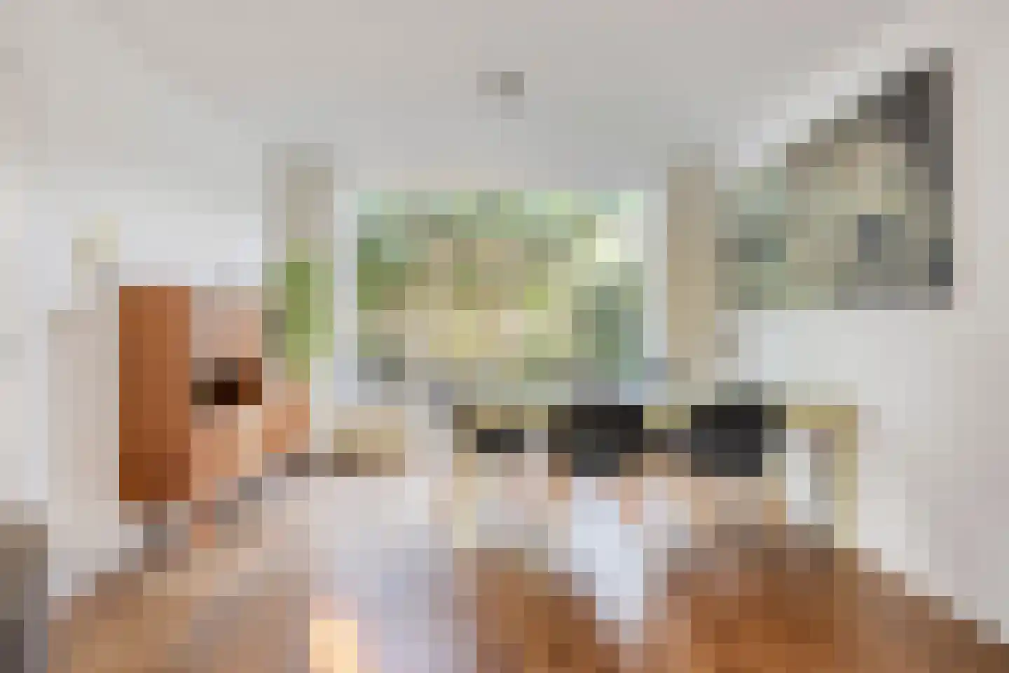 Rielseweg 14 Eindhoven thumbnail 6