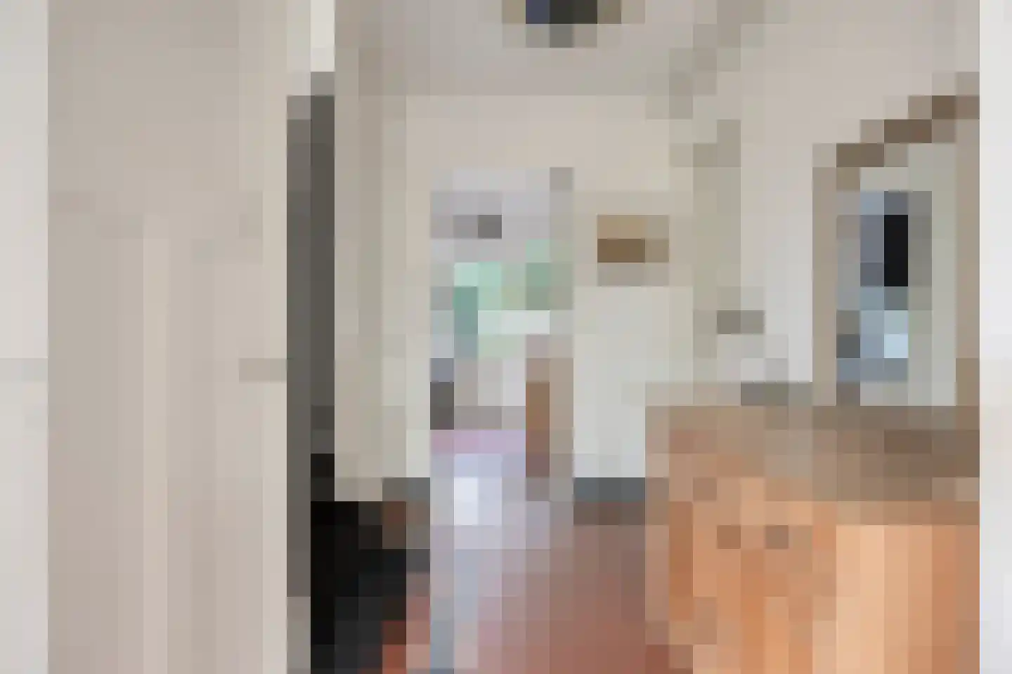 Rielseweg 14 Eindhoven thumbnail 9