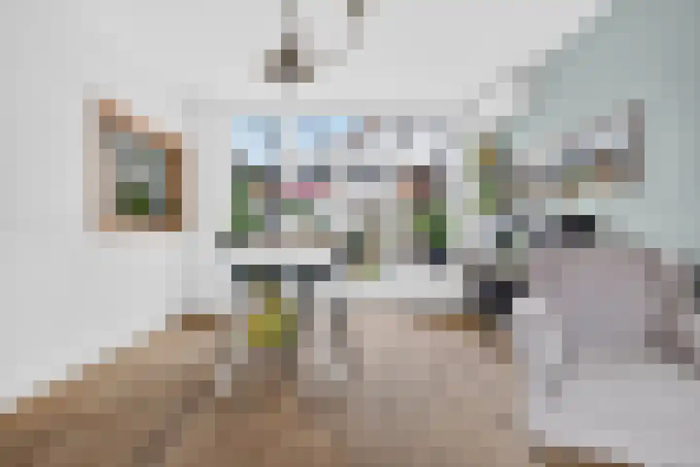 Rielseweg 4 Eindhoven thumbnail 14