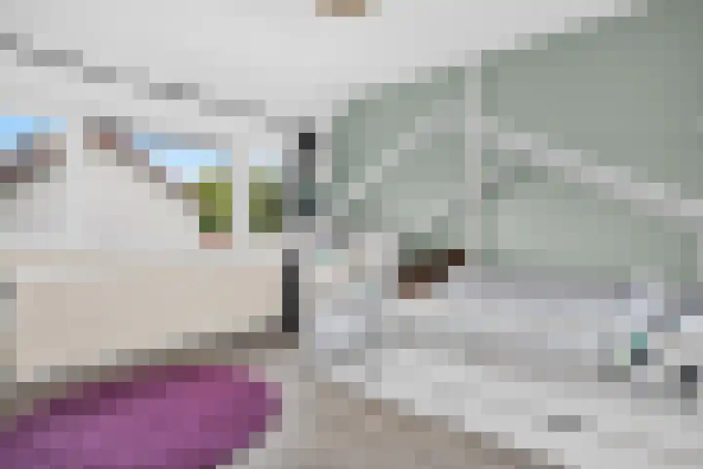 Rielseweg 4 Eindhoven thumbnail 33