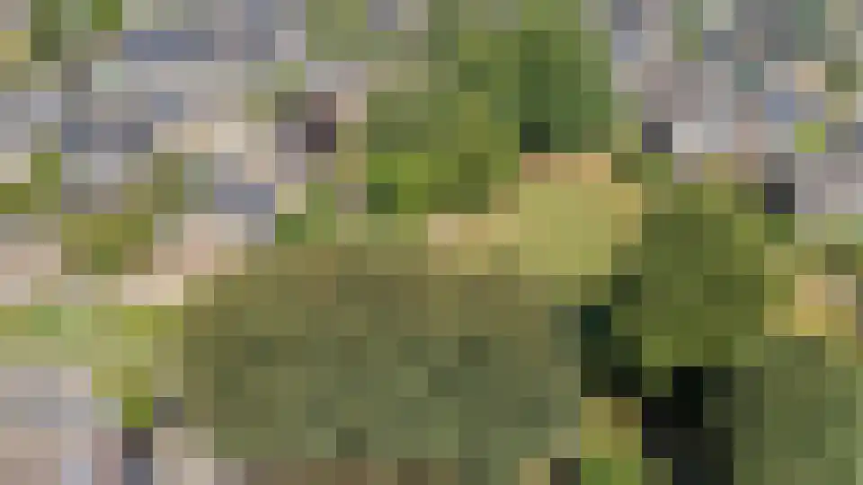 Riemdonk 11 C Maastricht thumbnail 19
