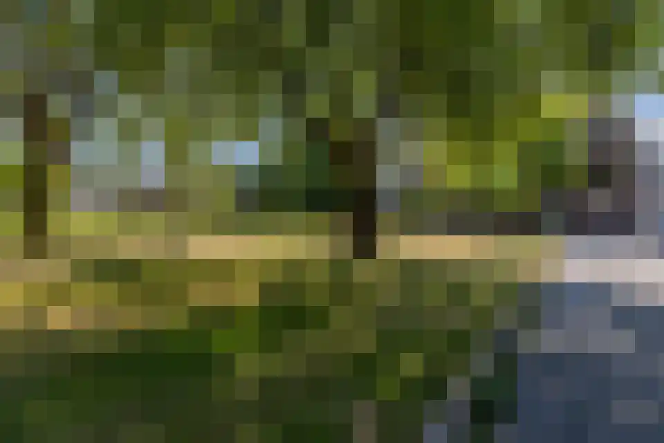 Riemdonk 11 C Maastricht thumbnail 22