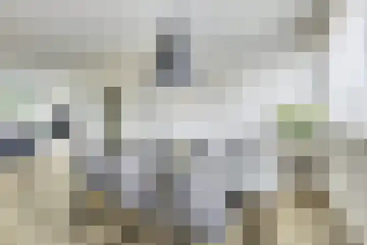 Riemdonk 17 C Maastricht thumbnail 15