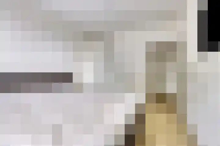 Riemdonk 17 C Maastricht thumbnail 17