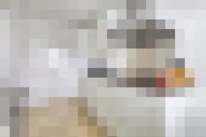 Riemdonk 17 C Maastricht thumbnail 18