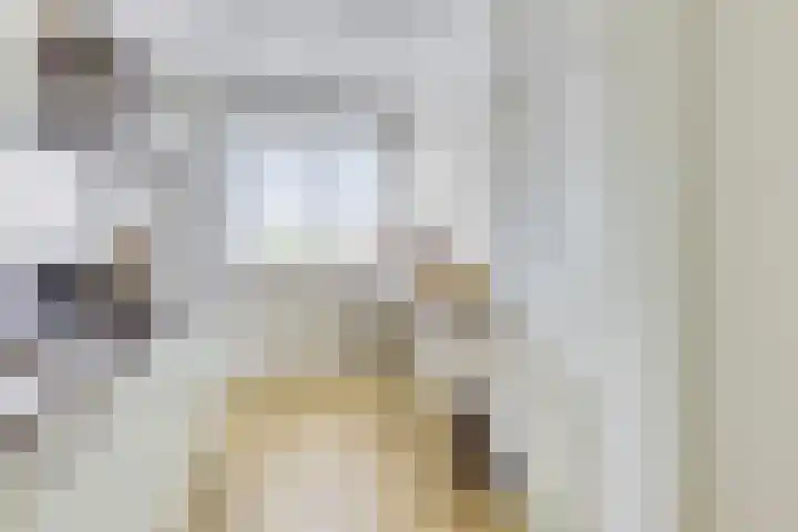 Riemdonk 17 C Maastricht thumbnail 19