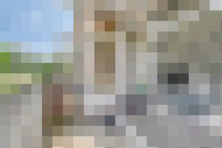 Riemdonk 17 C Maastricht thumbnail 25